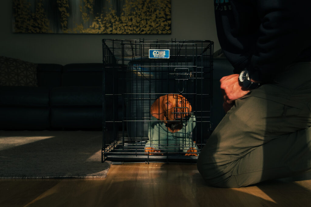 Crate training puppy