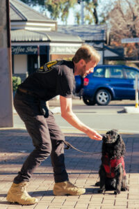 The Best Dog Trainer Adelaide