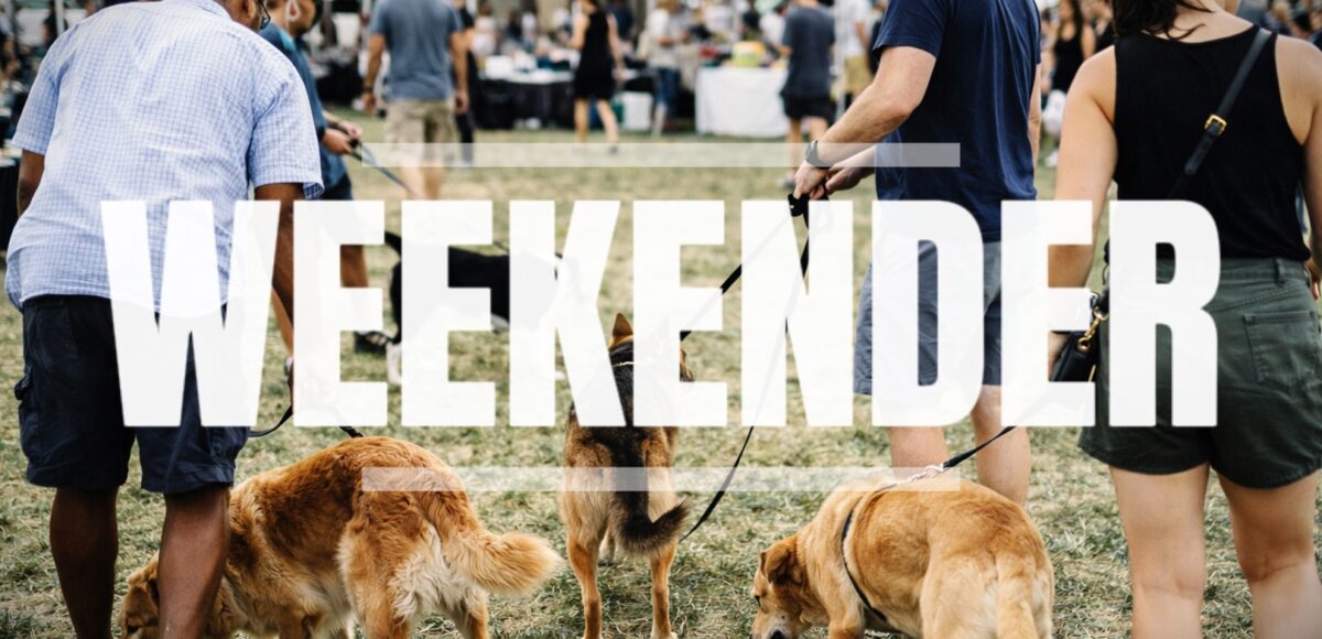 Direct K9 Dog Weekender 27-29 March