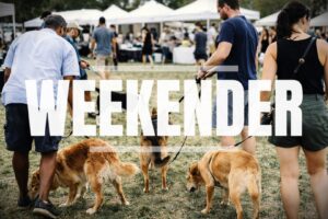 Direct K9 Dog Weekender 27-29 March
