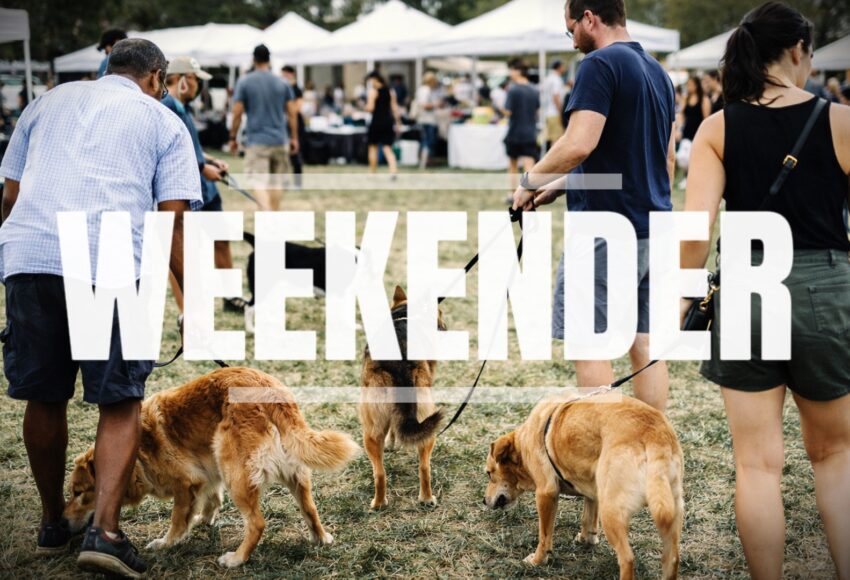 Direct K9 Dog Weekender 27-29 March