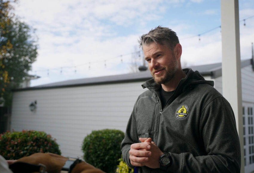 Direct K9 Services In-home Dog Training