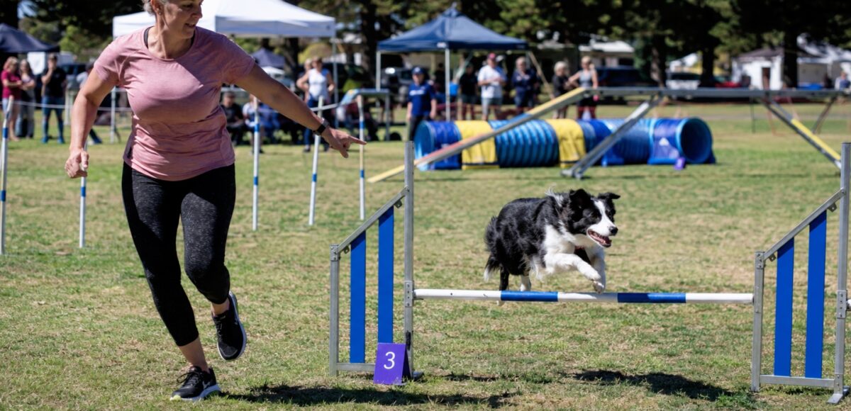 Verified events in Adelaide, Brisbane and Melbourne
