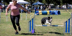 Verified events in Adelaide, Brisbane and Melbourne