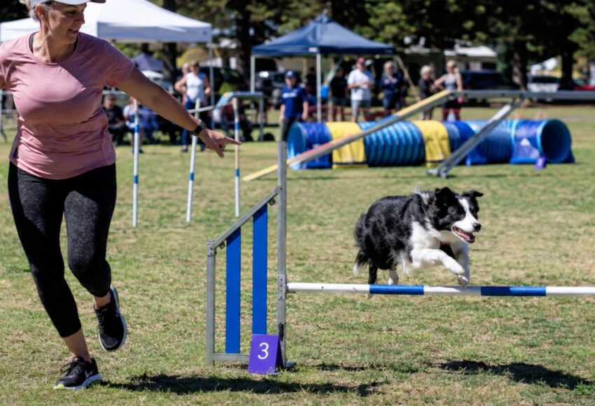 Verified events in Adelaide, Brisbane and Melbourne