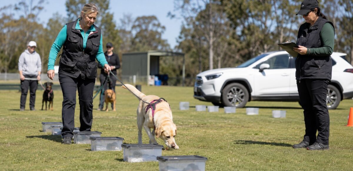 Scent Work Event, Direct K9 Weekender
