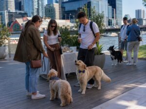 Yarra River Dog Walk