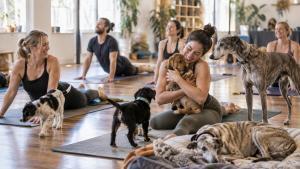 Puppy Yoga Melbourne