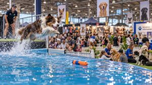 Weekend dog events 16-18 October 2026
